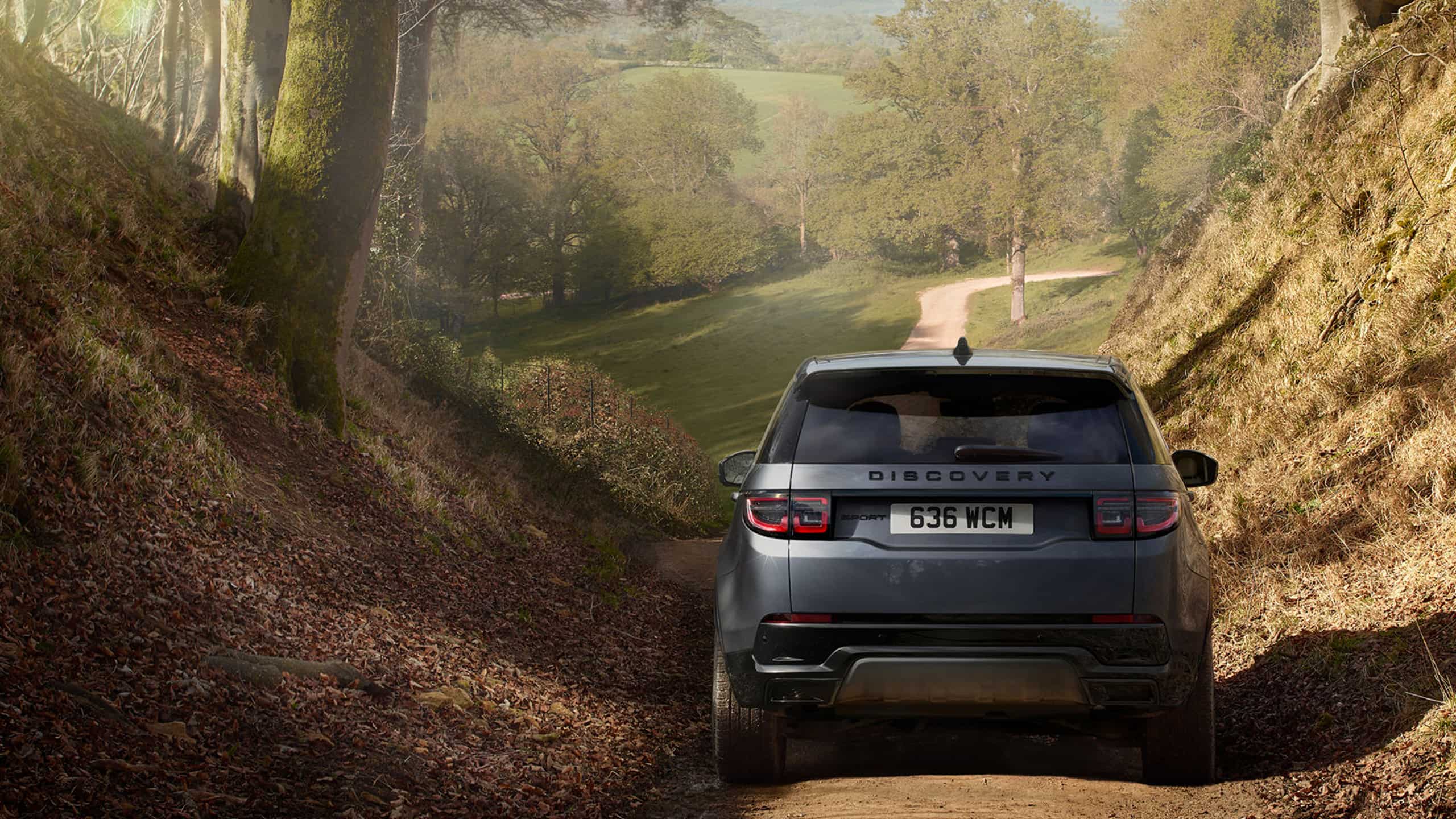 Discovery driving in forest off road